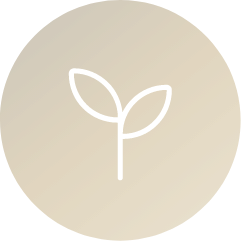 芽のアイコン